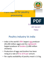 Poultry Plant Layout Swami
