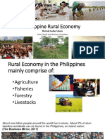 Rural Philippine Economy and Government Solutions