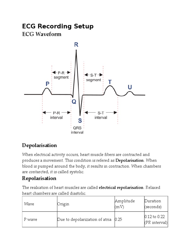 Unit 3 | PDF | Electromyography | Electrocardiography
