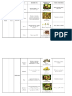 Clasificación de Los Frutos