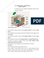 Tugas Akhir Modul 2 Profesional Melsa Ariani