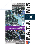 PATJ Timis Volumul IX Strategia de Dezvoltare Spatiala PDF