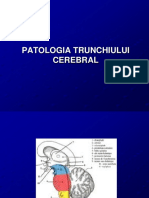 curs 4 MG tr,.cerebel,talamus.ppt