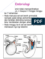 Sistem Genital