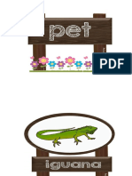 Pet