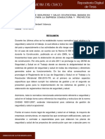 RESUMEN.pdf