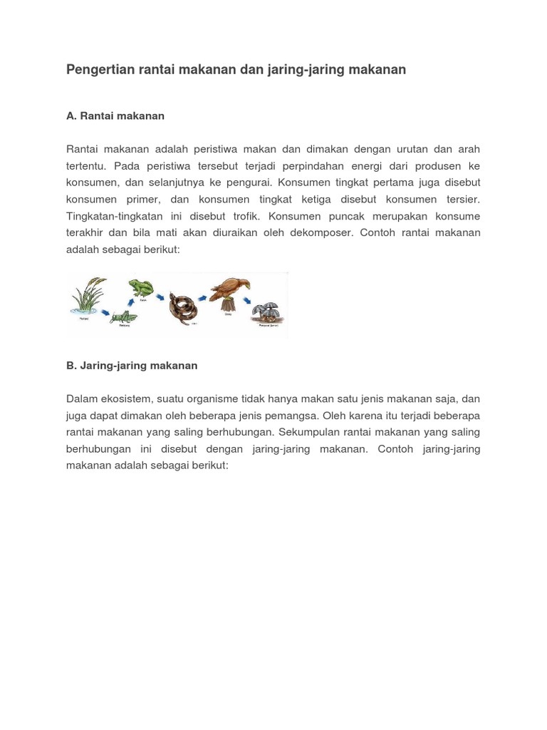Pengertian Rantai Makanan Dan Jaring