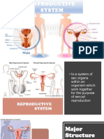 BIO 2 