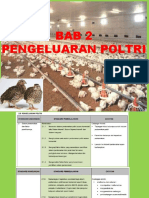 Bab 2 - PDP Poltri
