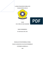 Laporan Praktikum Fisika Int1