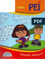 PEI Medio Mayor Completo.pdf