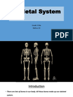 Skeletal System: Grade 3 Elm Roll No 19