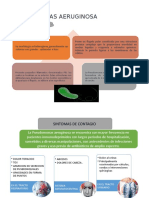 Microbiologia Exposicion