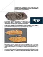 Hist del Calzado: 15 mil años de evolución