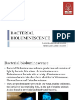 Bacterial Bioluminescence Final 2