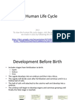 Human Life Cycle