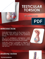 Testicular Torsion Torsio Testis