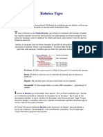 Rubrica_Tigre.pdf