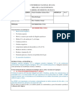 Informe Eschericha Coli