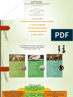 Sucesiones: Orden de suceder ab intestato