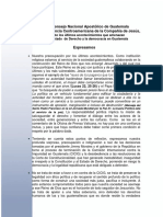 Comunicado coyuntura Guatemala CNA.pdf