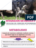 2017 Integración Metabólica II BEL 2017