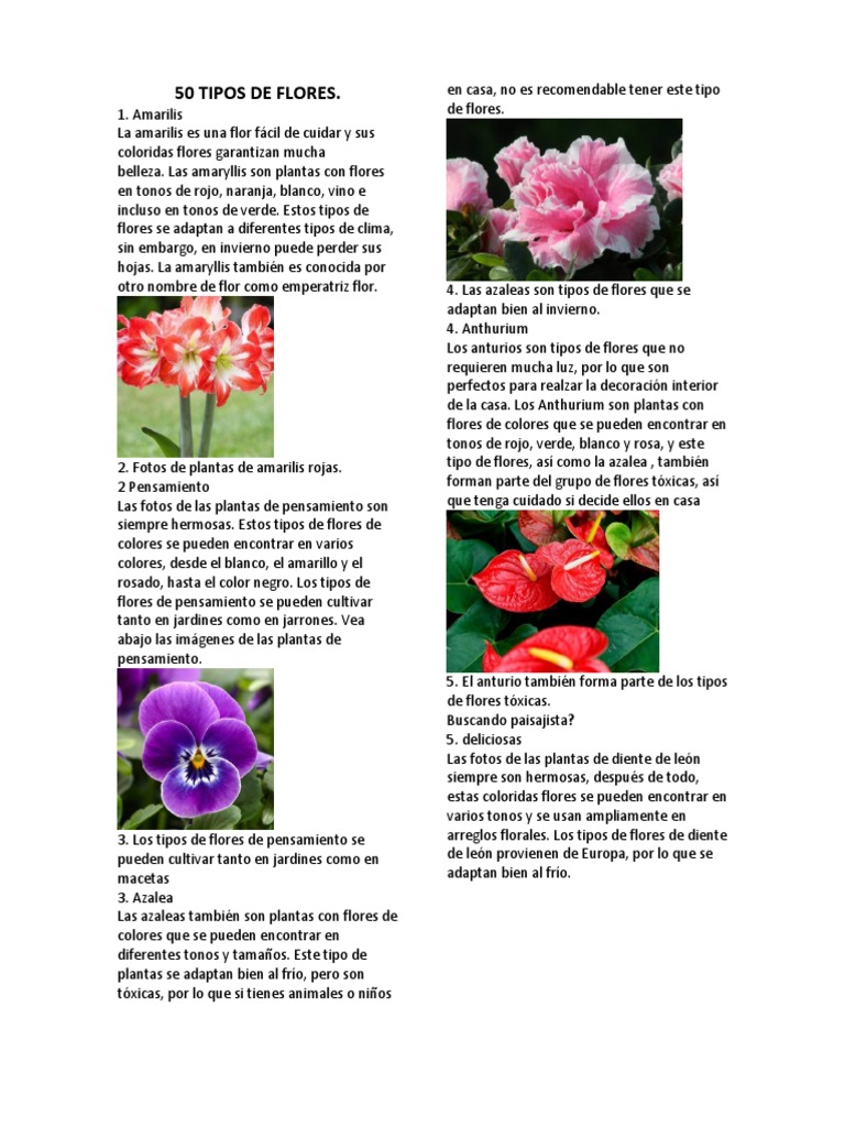 50 Tipos de Flores | PDF | Flores | Rosa
