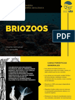 Brio Zoos