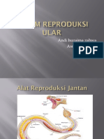 Sistem Reproduksi Ular