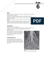 09035218082016Morfologia_e_Anatomia_Vegetal_Aula_6.pdf