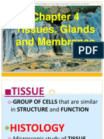 Tissues, Glands and Membranes: A Concise Guide