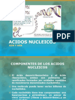 Presentación Ácidos Nucleicos