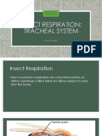 Insect Respiration: Tracheal System: Nicer C. Dizon