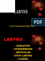 LARYNX