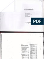 Rebollo1 PDF