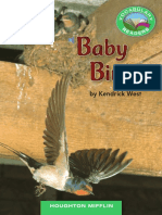 Baby Birds PDF