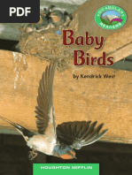 Baby Birds PDF