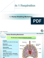 Chapter 1 - Human Breathing Mechanism