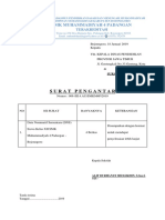 SMK-DNS