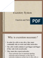 Excretory_System.ppt