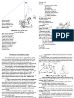 Lecturi Suplimentare PDF