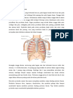 59853400-Anatomi-Dan-Fungsi-Thorax.doc