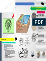 Geologia Poster Rocas Sedmentarias