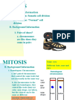 Mitosis: A. General Information