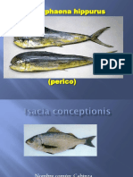 PECES