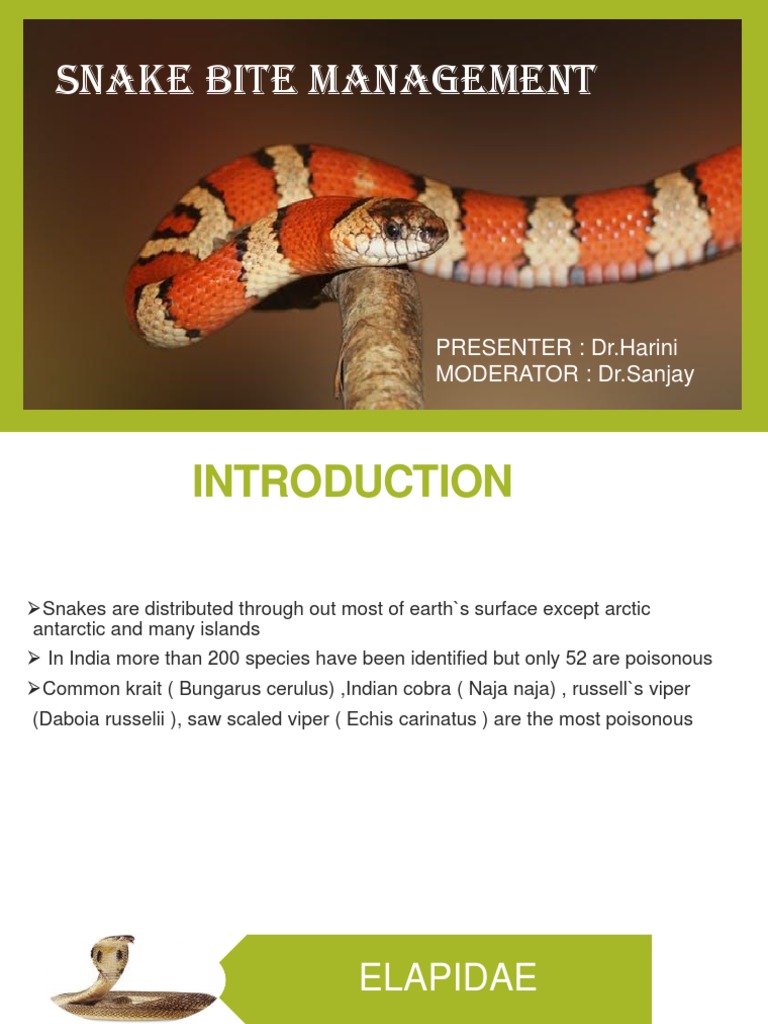 Snake Bite Management-2 | PDF | Coagulation | Intravenous Therapy