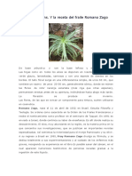 Aloe Arborescens Receta de Fray Romano