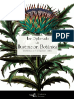 Diplomado de Ilustración Botánica CDMX