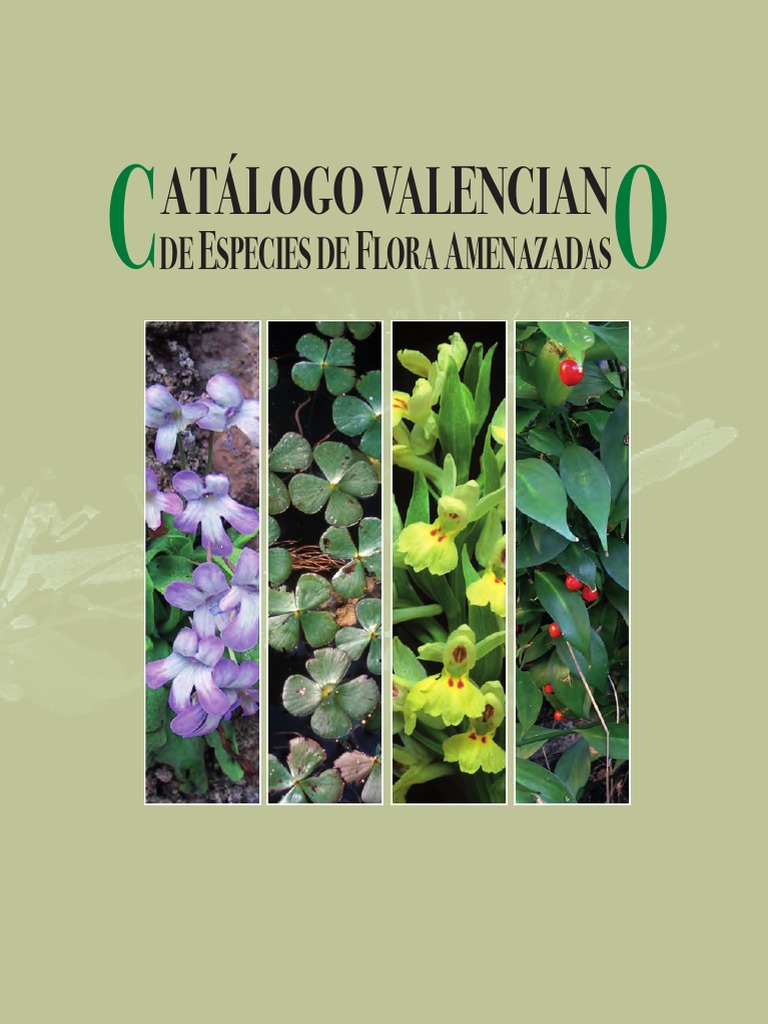 65557 Catalogofloraamenazada Pdf Movimiento Conservacionista