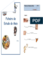 resumos e fichas EM.pdf